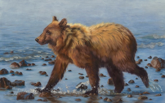 Grizzly Bear Walking Through Shallow Rocky Water Wildlife Poster