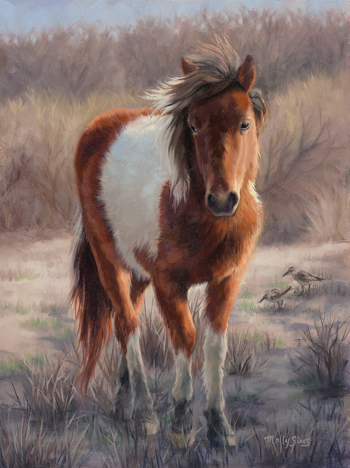 Assateague Pony Realistic Oil Painting Art Print