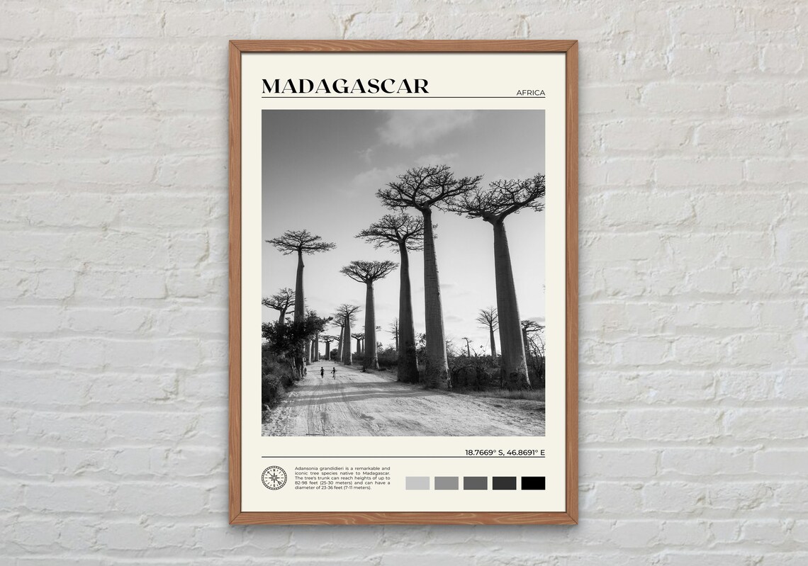 Black And White Madagascar Travel Poster, Wall Art