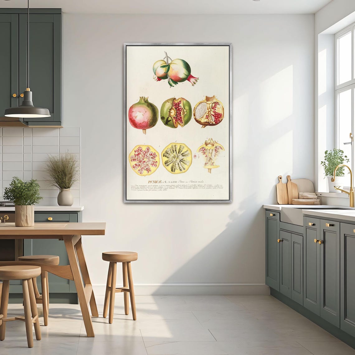 Pomegranate Punica Vintage Botanical Illustration Plate Poster - Image 2