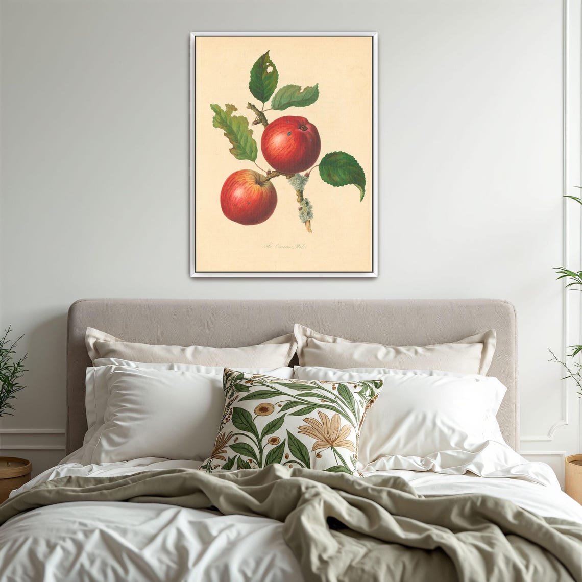 Two Red Apples On A Branch Antique Botanical Illustration Art Poster - Image 3