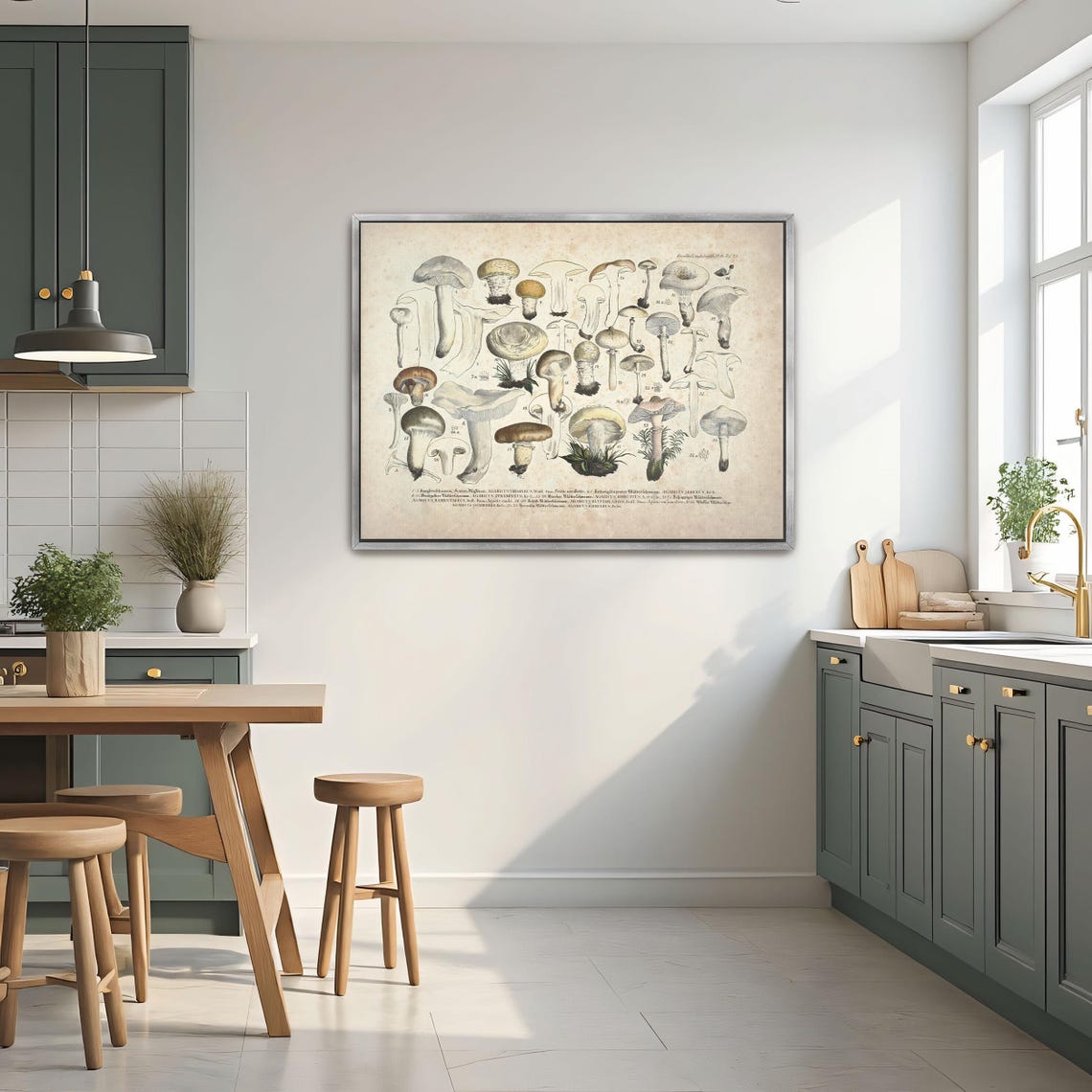 Vintage Mushroom Identification Chart Botanical Illustration Poster - Image 3