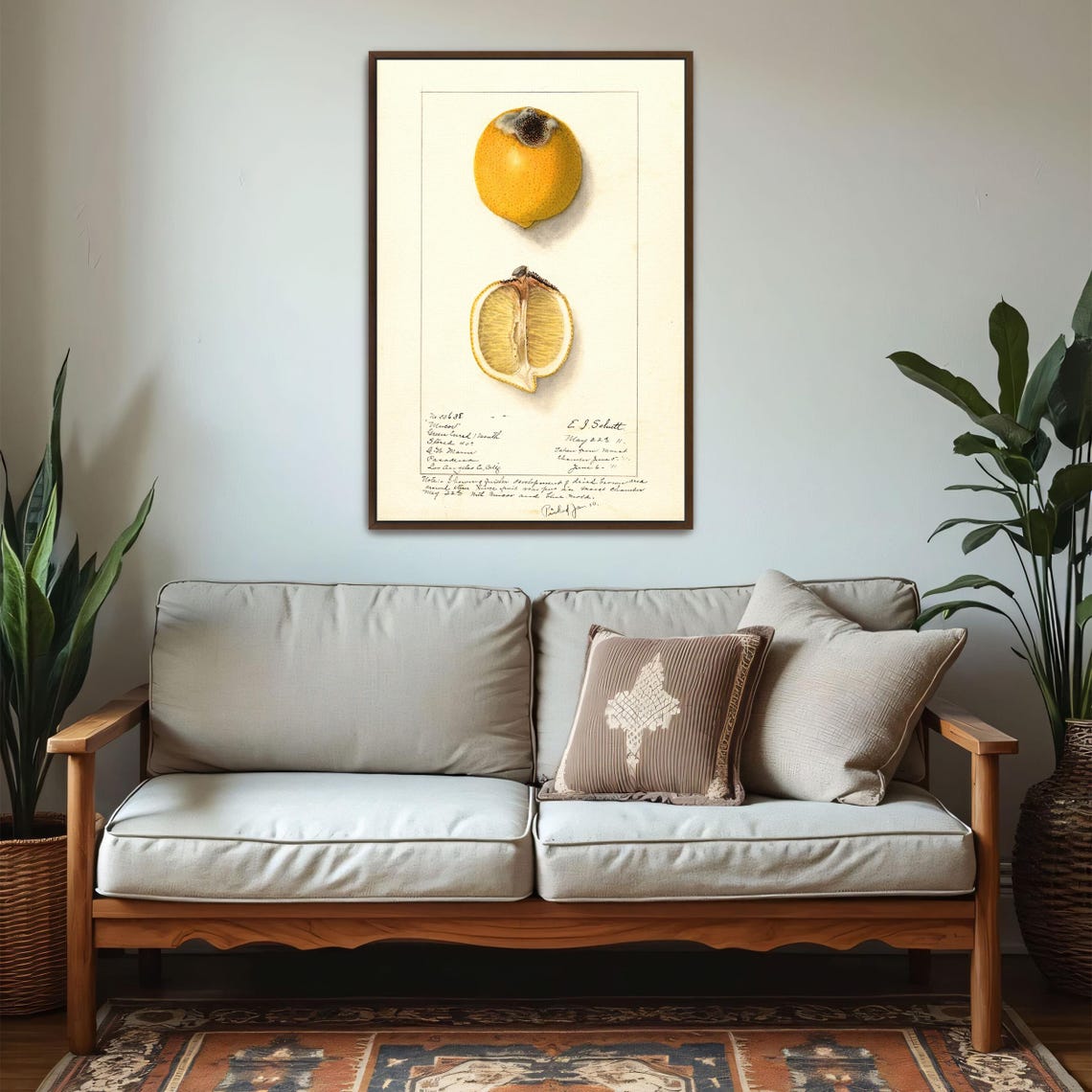 Victorian Lemon Watercolor Study Whole And Halved Fruit Poster - Image 5