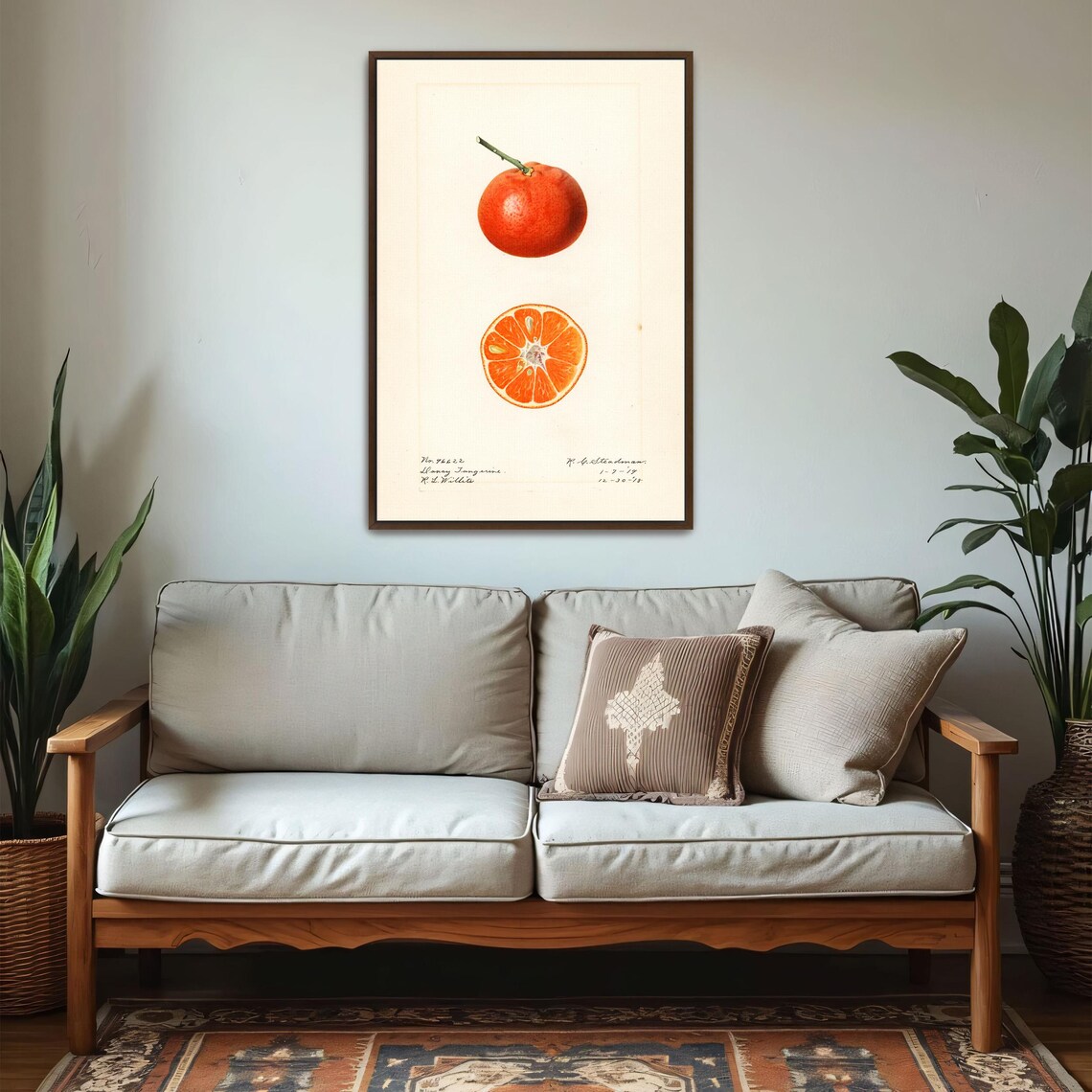 Dancy Tangerine Whole And Sliced Botanical Illustration Poster - Image 5