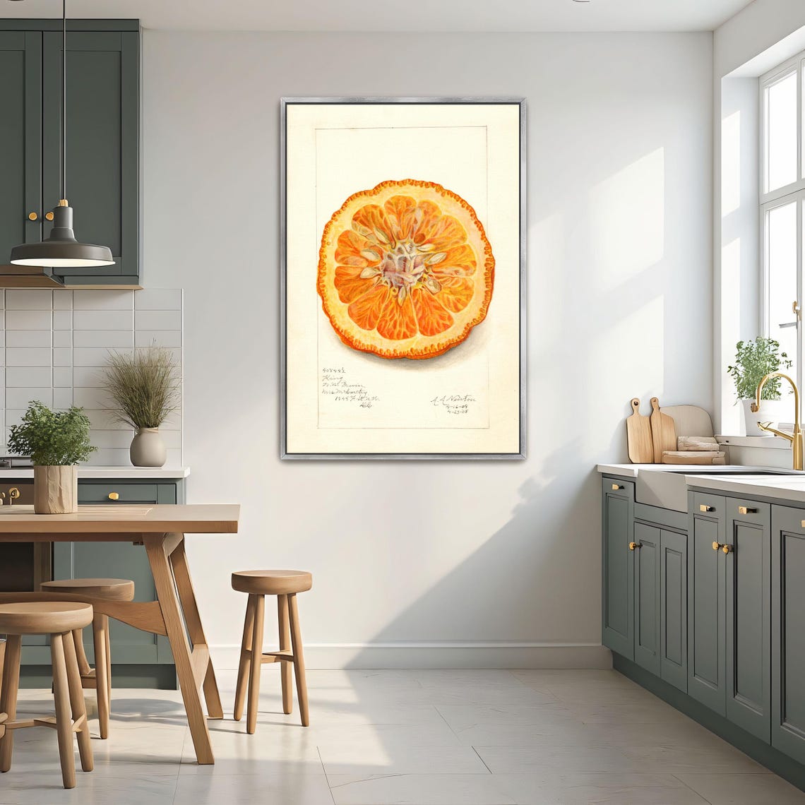 Dried Orange Slice Cross Section Vintage Citrus Botanical Art Poster