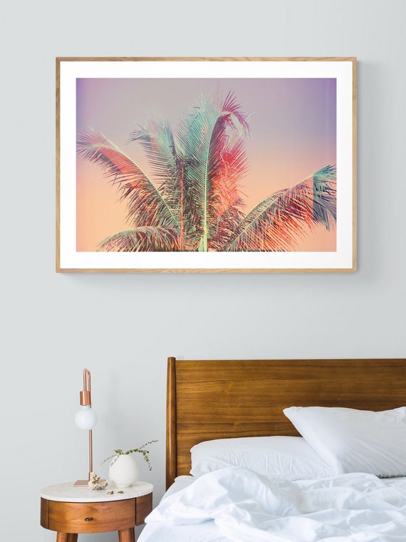 Palm Tree Print, Tropical Florida Photograph