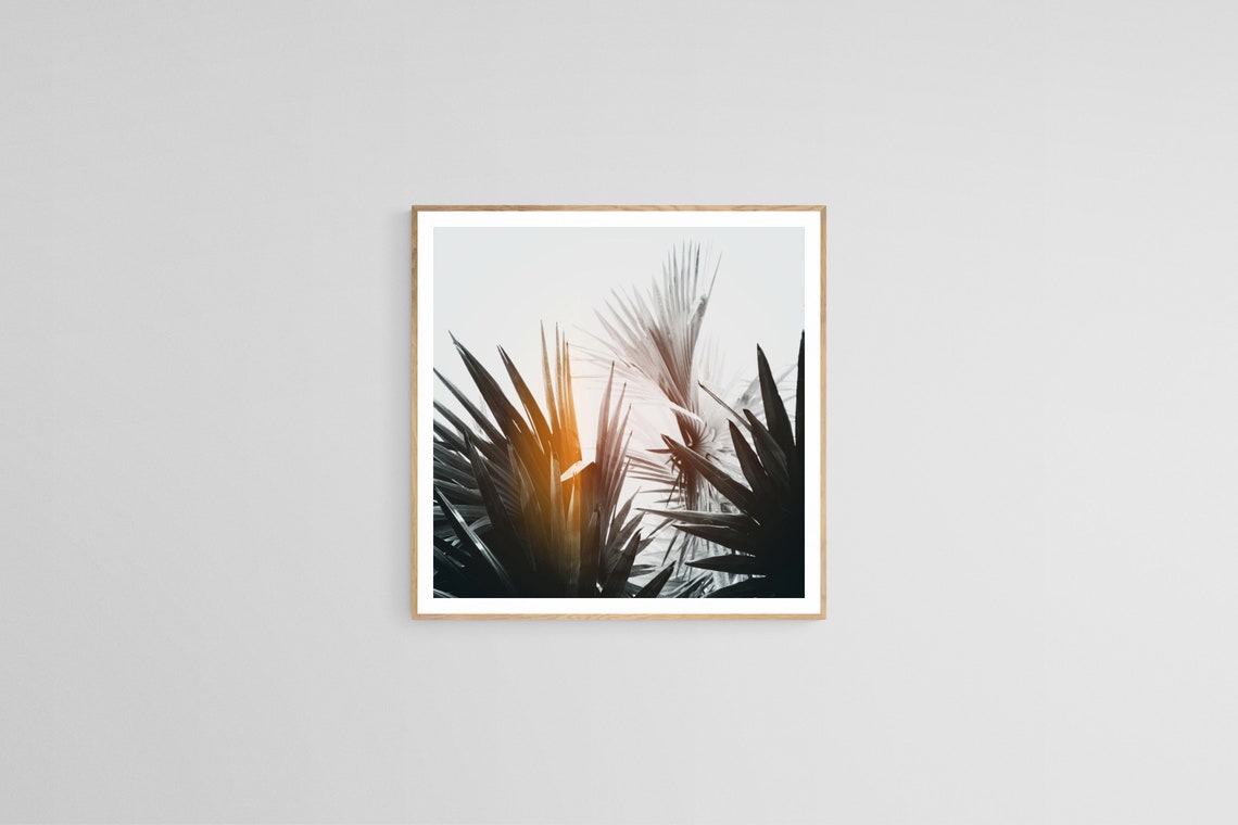 Palm Tree Print, Black And White Tropical Travel Photograph