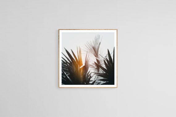 Palm Tree Print, Black And White Tropical Travel Photograph