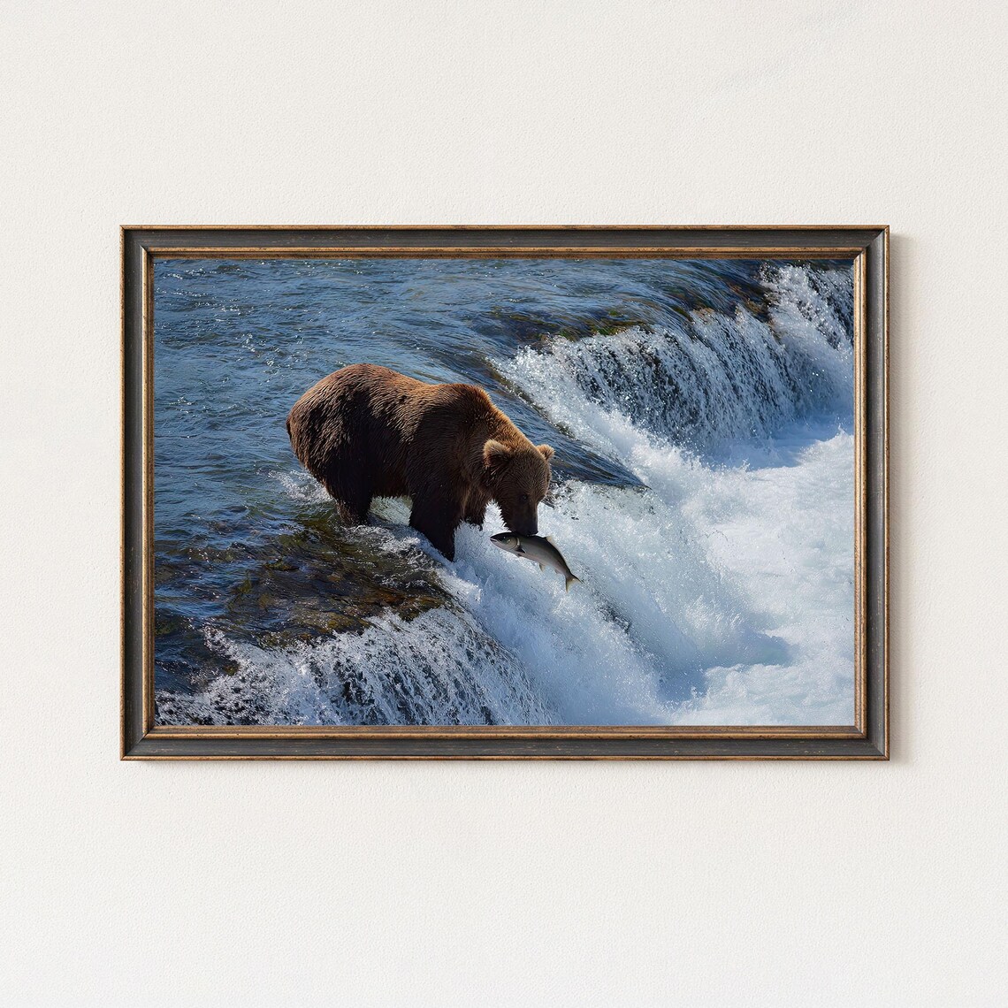 Grizzly Bear Catching Salmon River Waterfall Wildlife Poster