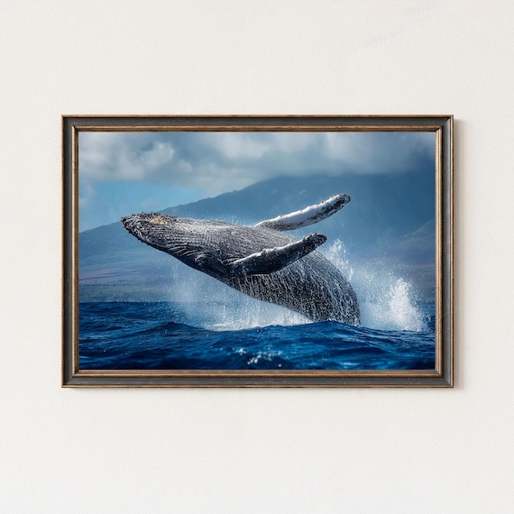 Dramatic Humpback Whale Breaching Fully Above Deep Blue Ocean Photo Poster
