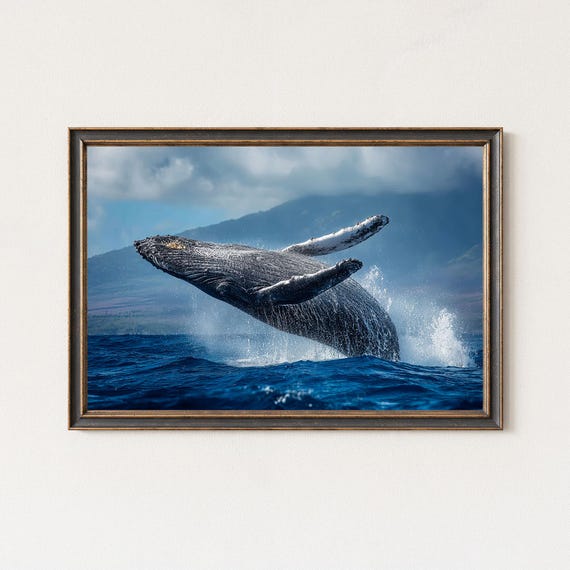 Humpback Whale Photography Print Breaching Ocean Wildlife Art