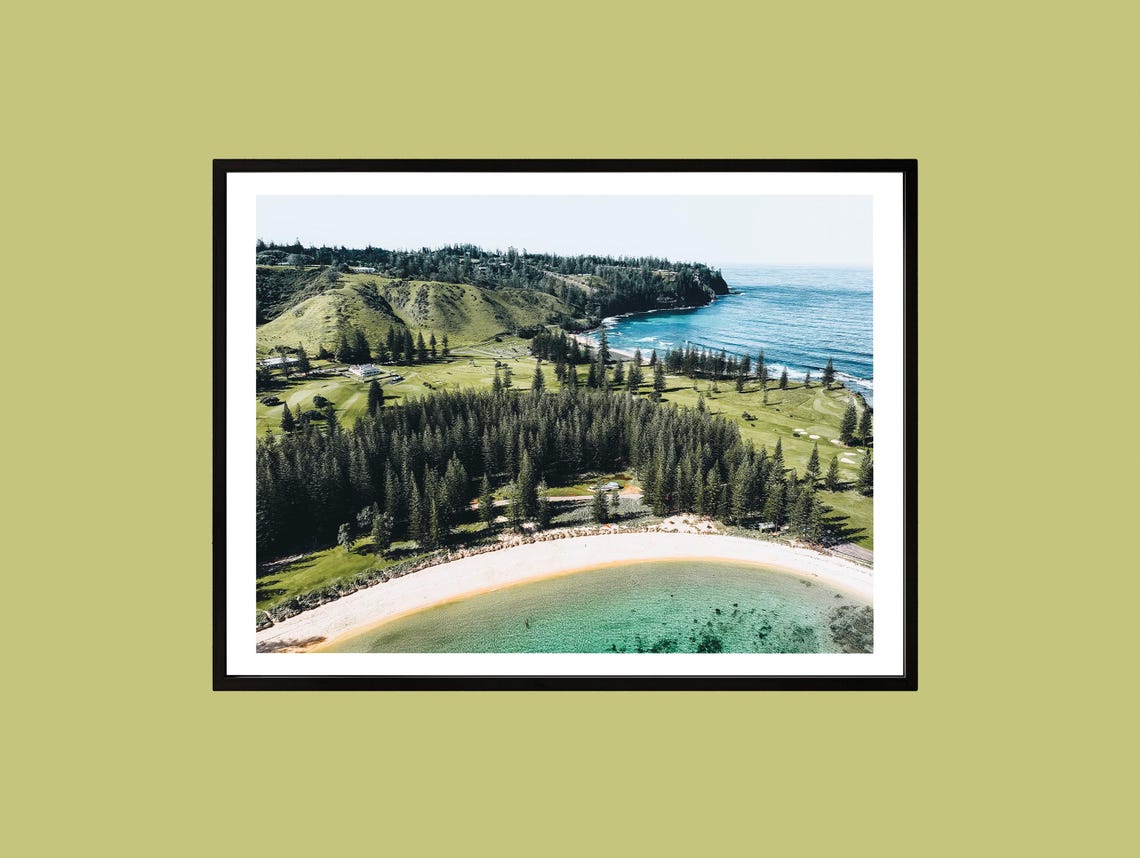 Aerial Tropical Beach with Pine Forest Turquoise Ocean Photo Print