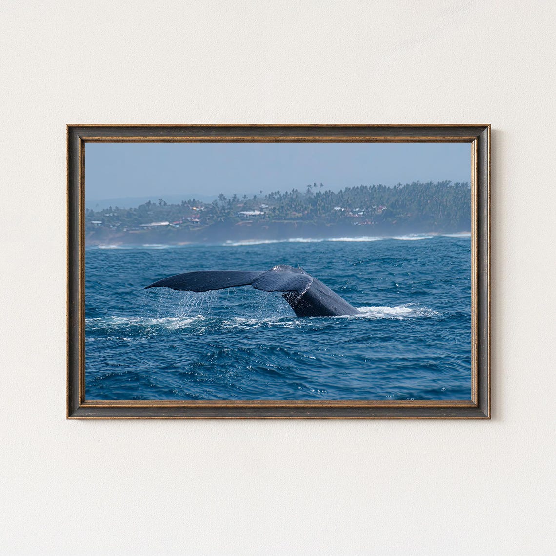 Whale Tail Diving Ocean Waves Coastal Wildlife Photography Poster