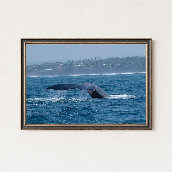 Whale Tail Diving Ocean Waves Coastal Wildlife Photography Poster