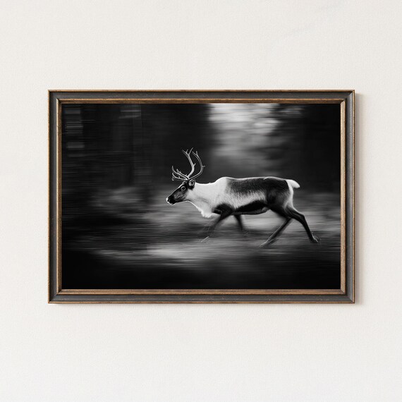 Reindeer Running Through Forest Black And White Photo Poster