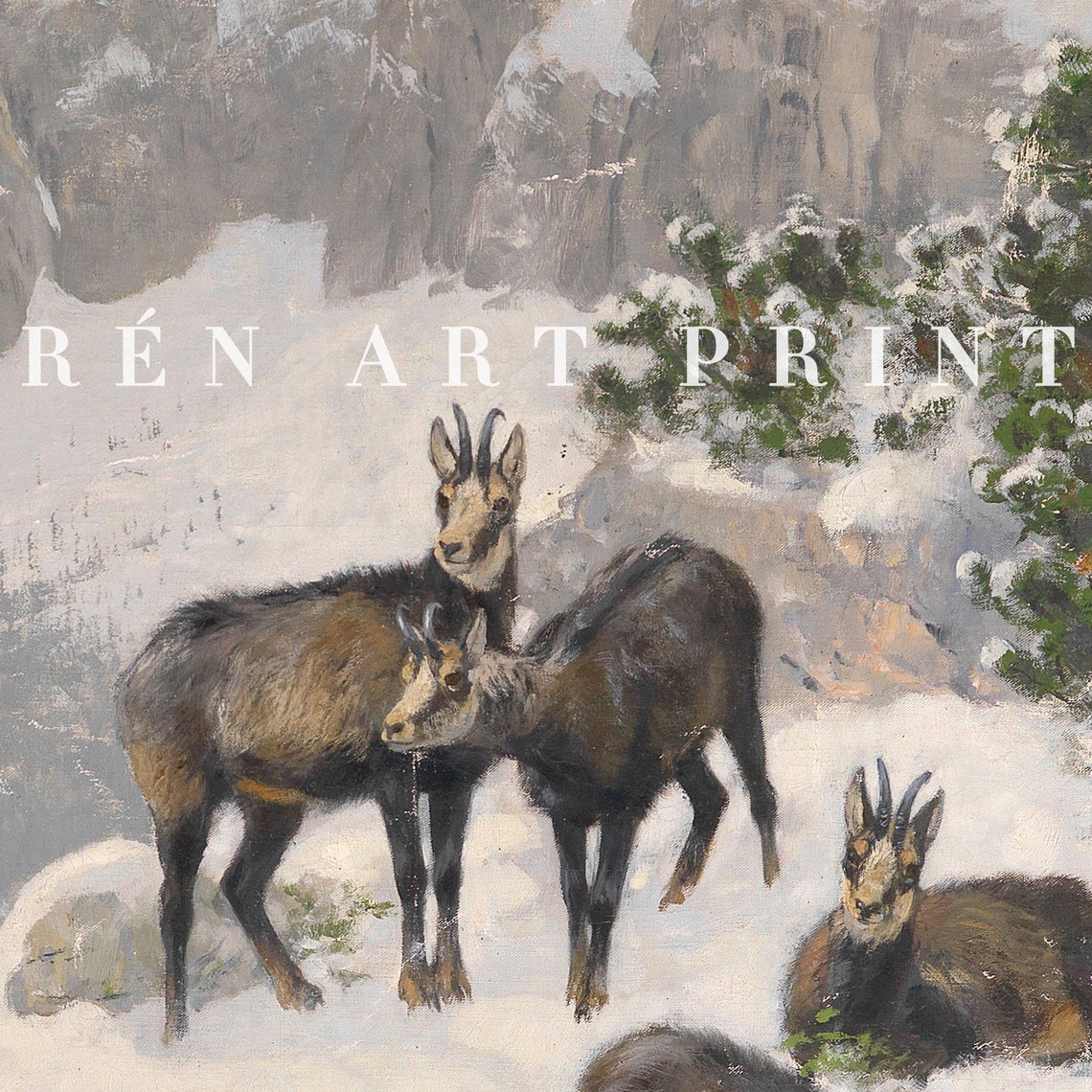 Vintage Chamois Herd in Snowy Mountains Alpine Wildlife Art Poster - Image 3
