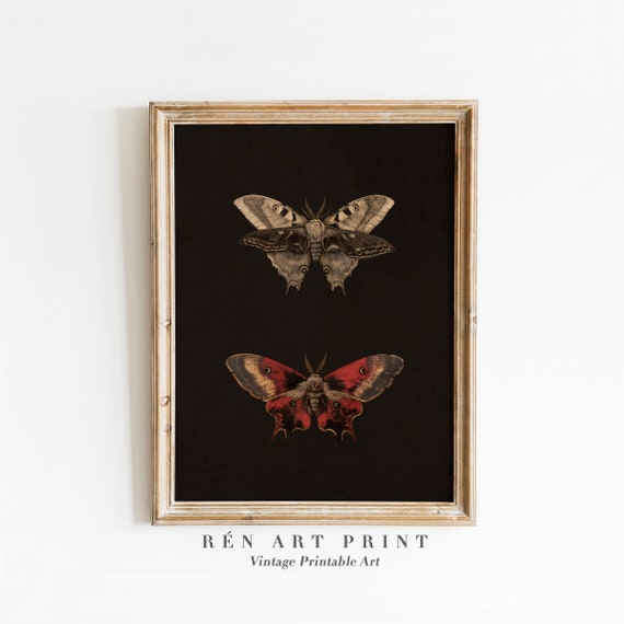 Antique Moody Moth Wall Art Butterfly Wall Art Vintage Insect Art Print Dark Cottagecore Decor Halloween Moth Wall Art