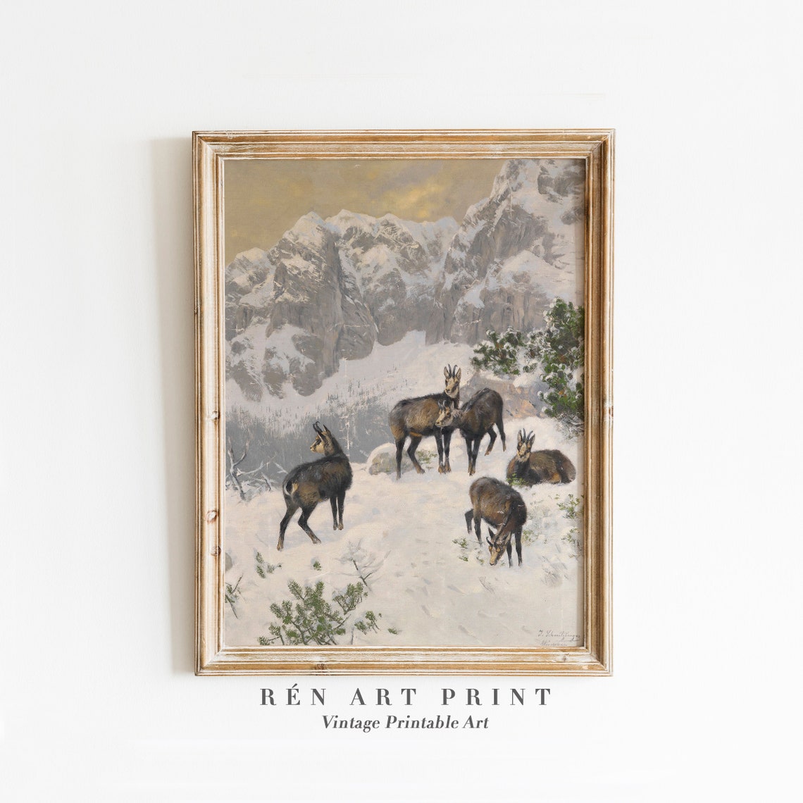 Vintage Chamois Herd in Snowy Mountains Alpine Wildlife Art Poster