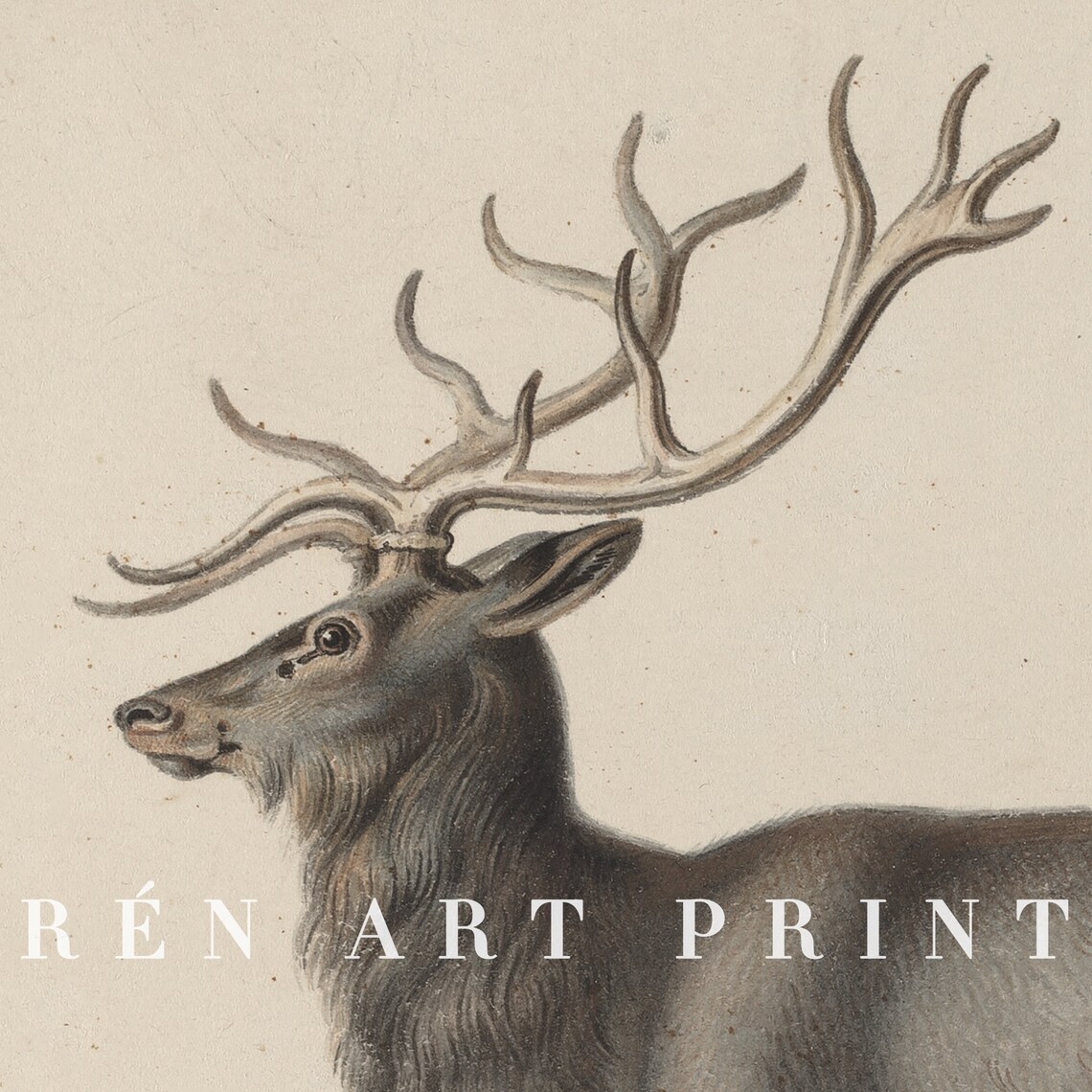 Vintage Reindeer Art Print, Rustic Christmas Decor