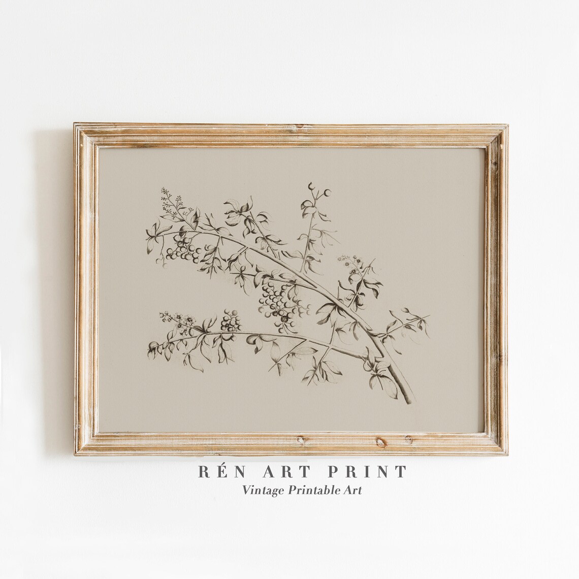 Antique Minimalist Botanical Branch Sketch Art Print