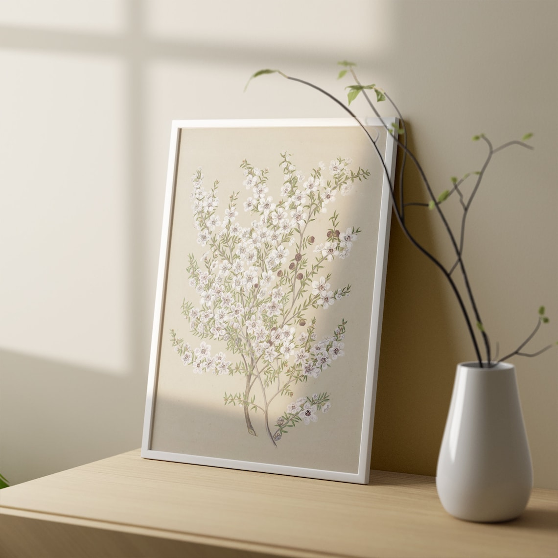 Antique Manuka Plant Painting, Vintage Floral Art Print - Image 3