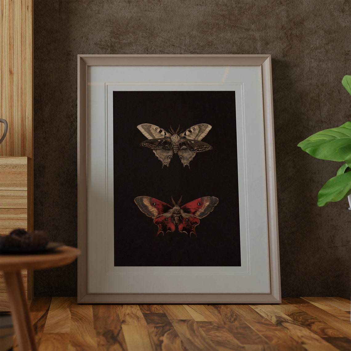 Two Moths on Black Vintage Entomology Insect Study Art Print - Image 3