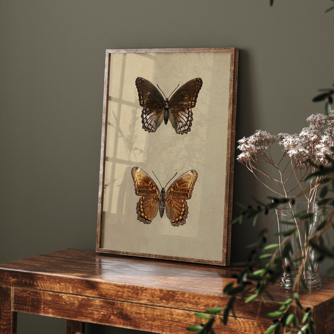 Vintage Butterfly and Moth Drawing, Farmhouse Art Print - Image 3
