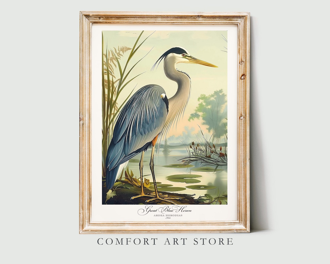 Great Blue Heron Audubon-Style Bird Print, Vintage