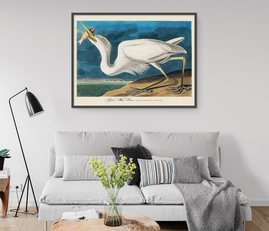 Great White Heron Vintage Audubon Style Coastal Bird Wall Art - Image 4