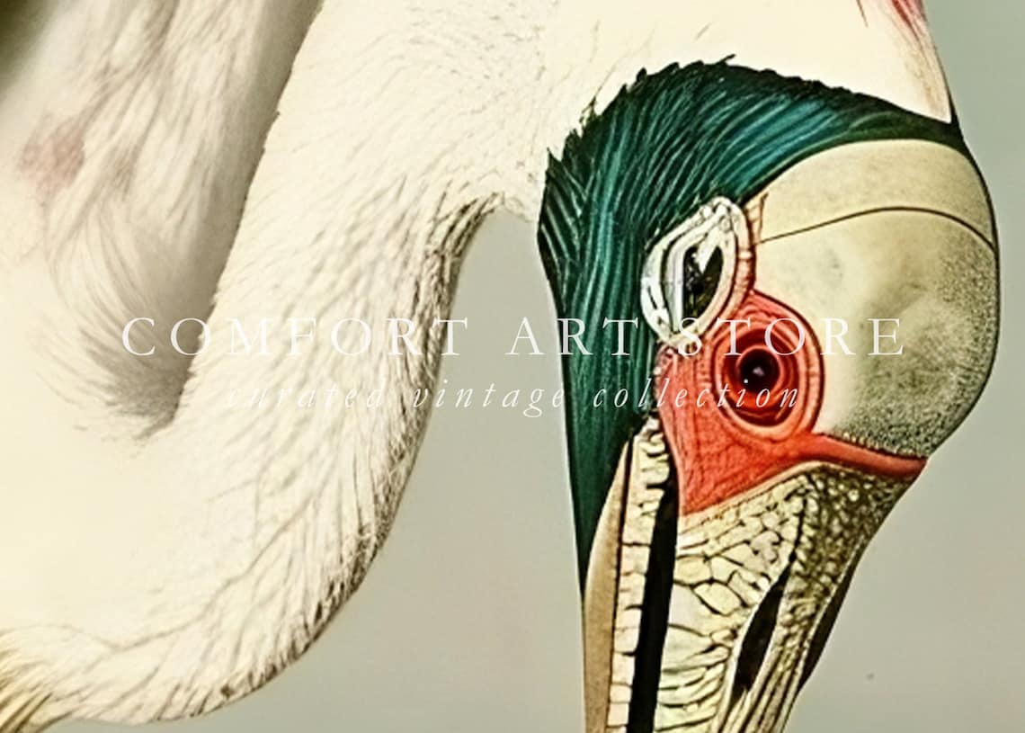 Roseate Spoonbill Vintage Bird Print, Audubon Style - Image 2
