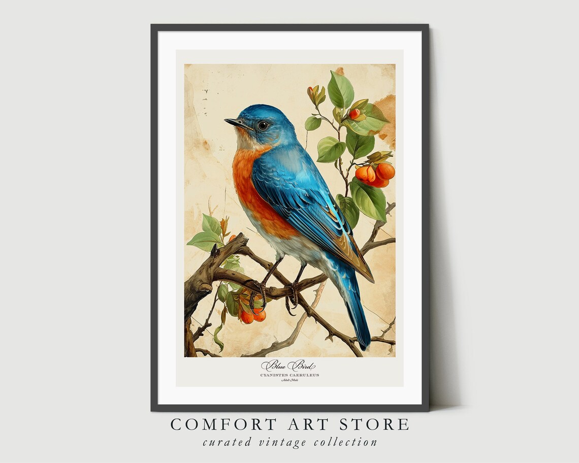Audubon Style Bird Print, Vintage Nature Poster - Image 2