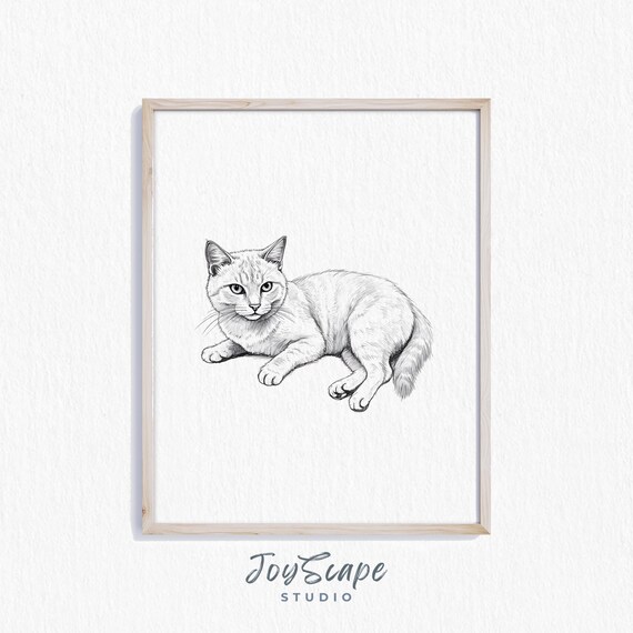 Light Cream Cat Pencil Sketch Black and White Resting Feline Poster