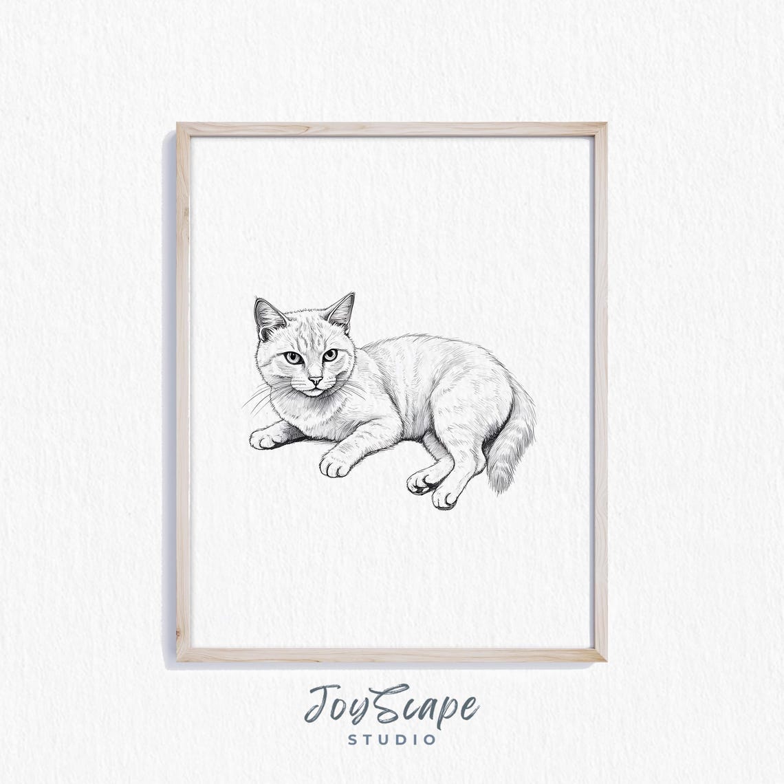 Light Cream Cat Pencil Sketch Black and White Resting Feline Poster