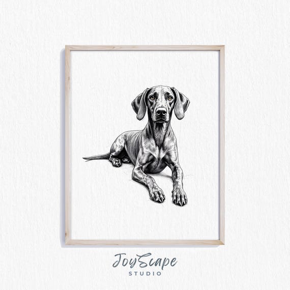 German Shorthaired Pointer Art Print Dog Portrait Rustic Farmhouse Decor Nursery Pet Wall Black And White