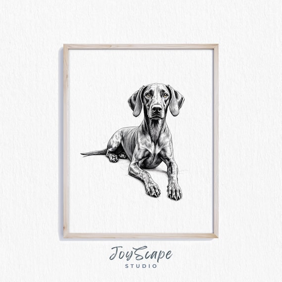 German Shorthaired Pointer Sketch Black and White Dog Poster