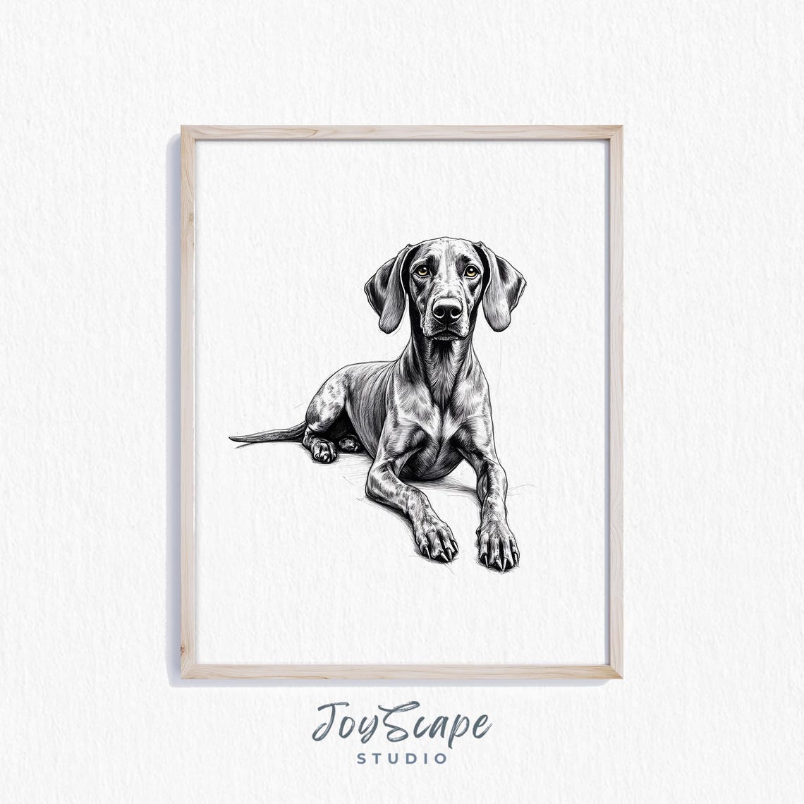 German Shorthaired Pointer Sketch Black and White Dog Poster