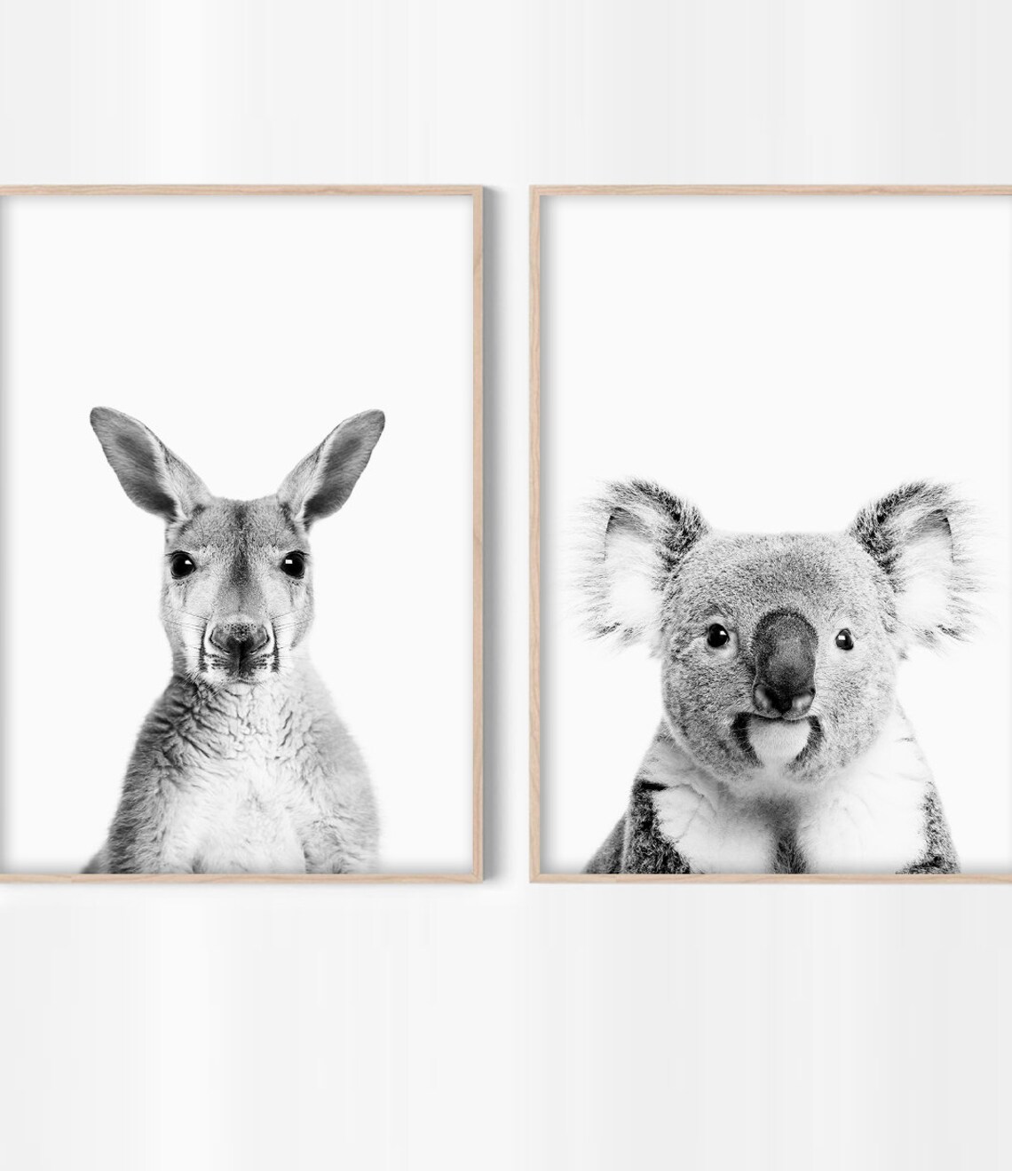 Kangaroo Australian Wildlife Photography Art Print - Image 3