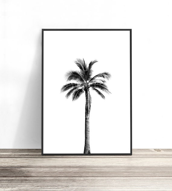 Palm Tree Print, Coastal Beach Wall Art Print