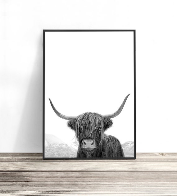 Highland Cow Black And White Animal Art Print