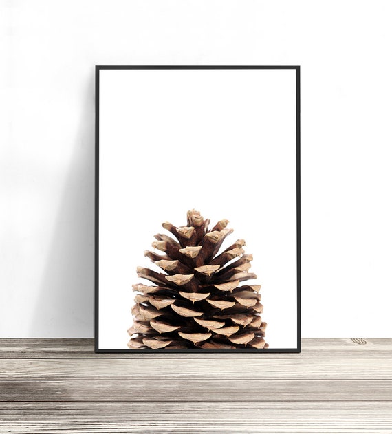 Pine Cone Scandinavian Christmas Botanical Poster