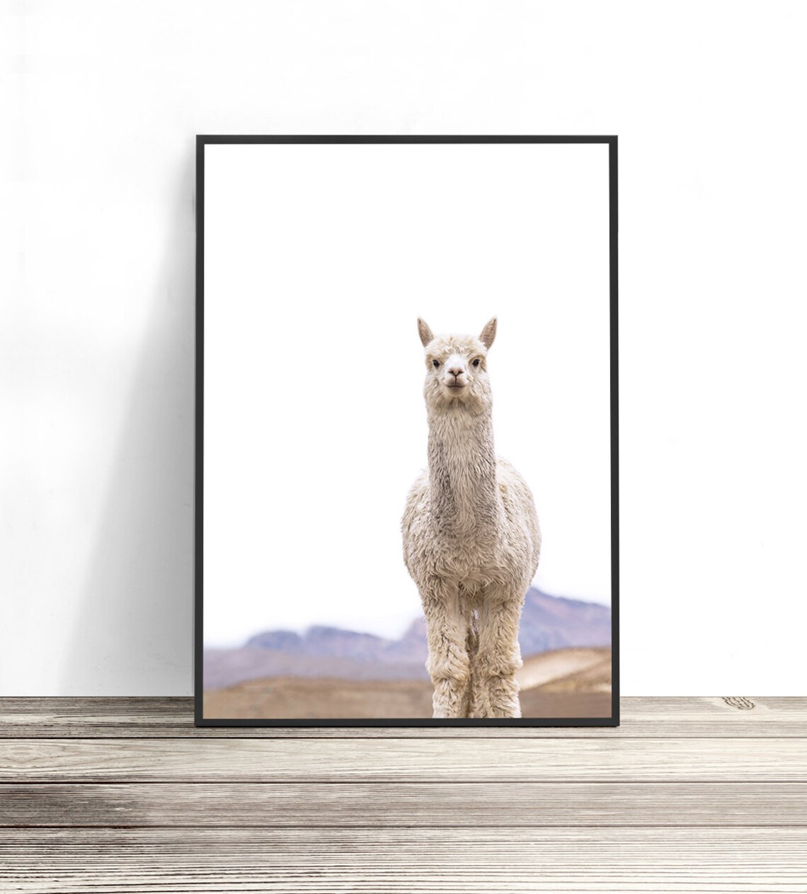 Llama and Alpaca Photography, Boho Nursery Art Print