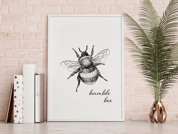 Bumble Bee Black And White Print Framed Print Bumble Bee Wall Art Decor Wall Print Black And White Bee Nature Print