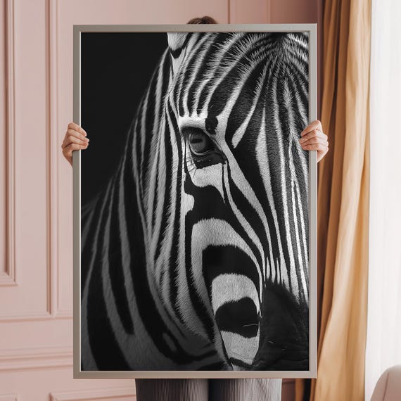 Zebra Fine Art Black White Photography Print Poster Wall Animal Home Decor Nature