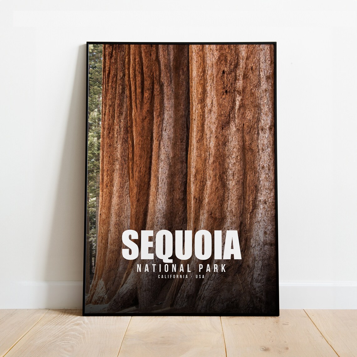 Sequoia National Park California Giant Redwood Trunks Art Poster