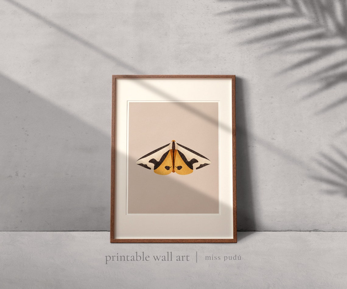 Vintage Moth Illustration Nocturnal Insect Poster Terracotta - Image 2