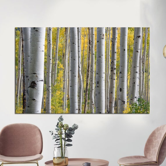Birch Tree Forest Canvas Art Farmhouse Wall Decor