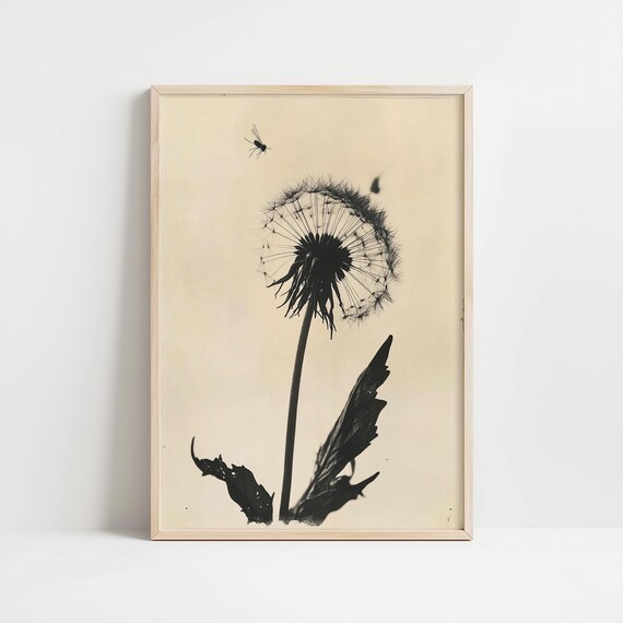 Vintage Dandelion Seed Head Monochrome Botanical Decor Poster