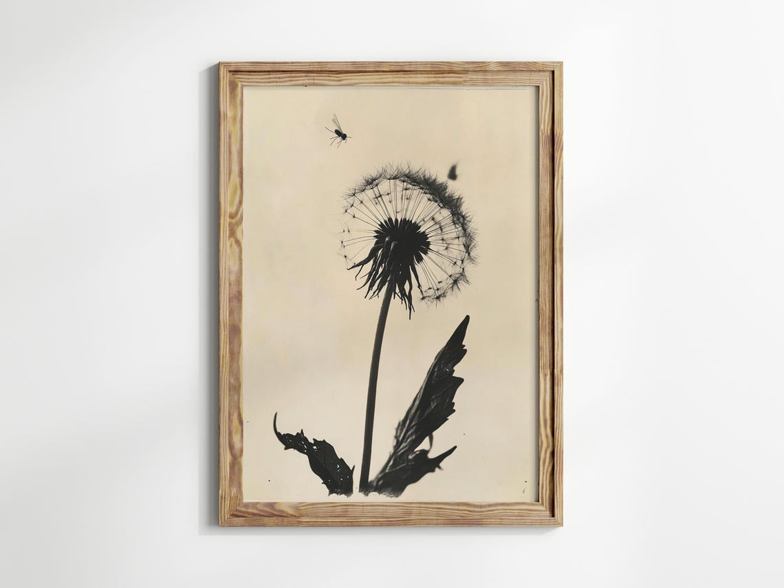 Vintage Dandelion Seed Head Monochrome Botanical Decor Poster - Image 3