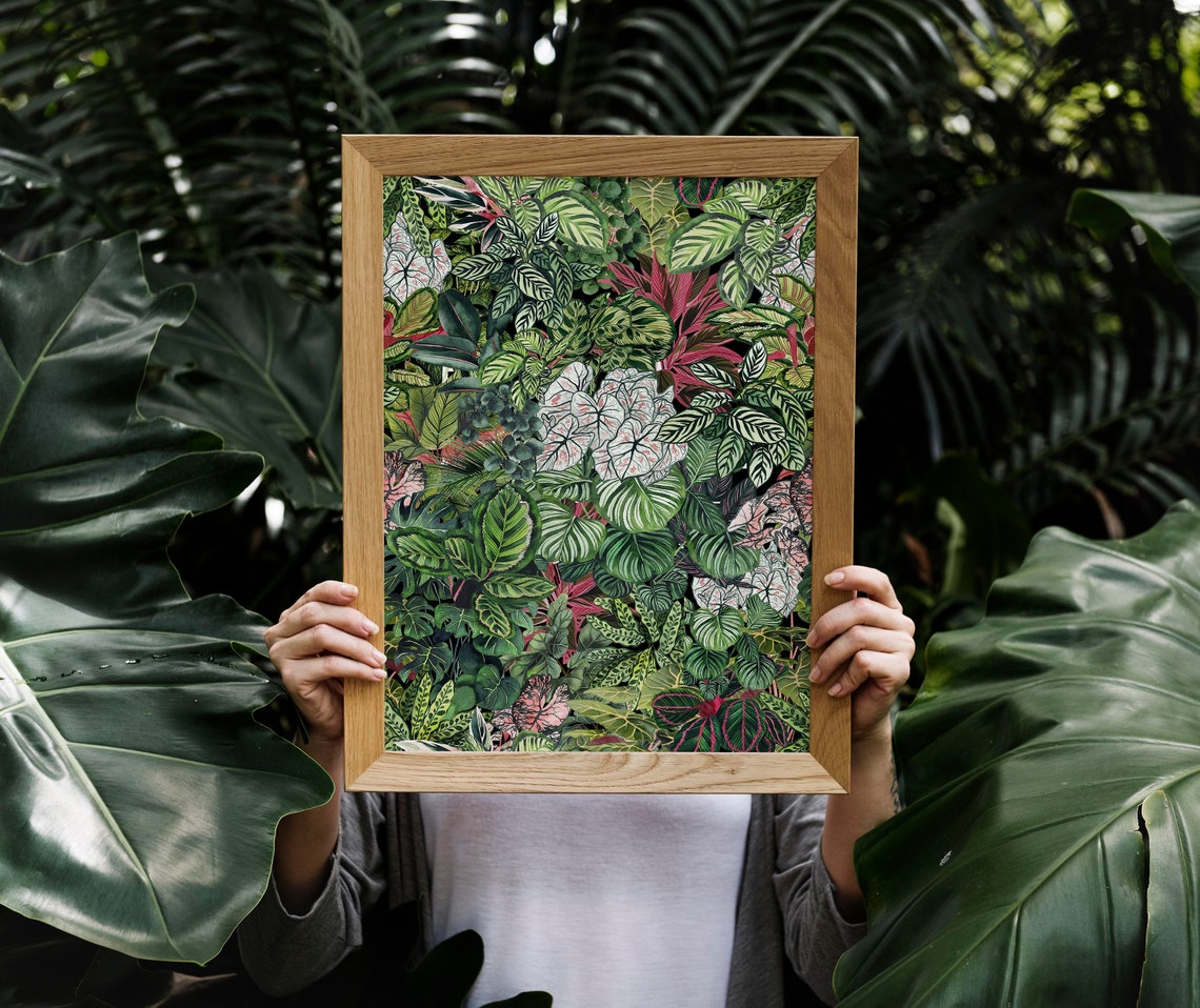 Urban Jungle Pink Caladium Tropical Foliage Botanical Poster - Image 2