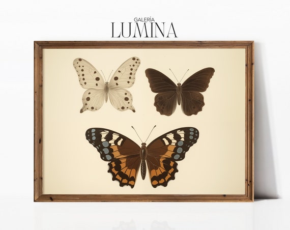 Vintage Butterflies Painting Neutral Butterfly Print Antique Butterfly Drawing Moody Insect Wall Art Art Frame Tv Art 277